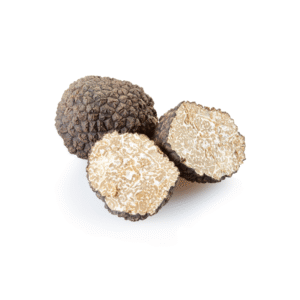 Summer truffle<br><i>Tuber aestivum</i>
