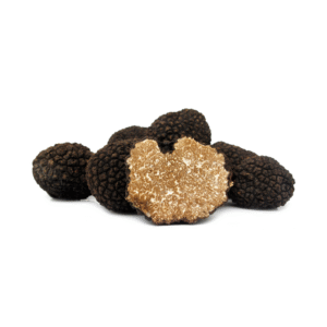 Autumn black truffle<br>Tuber uncinatum